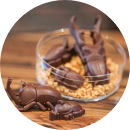 美山の虫チョコスペシャル